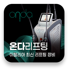 온라리프팅
